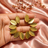 Multiple Elongated Leaf Earring