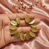 Multiple Elongated Leaf Earring